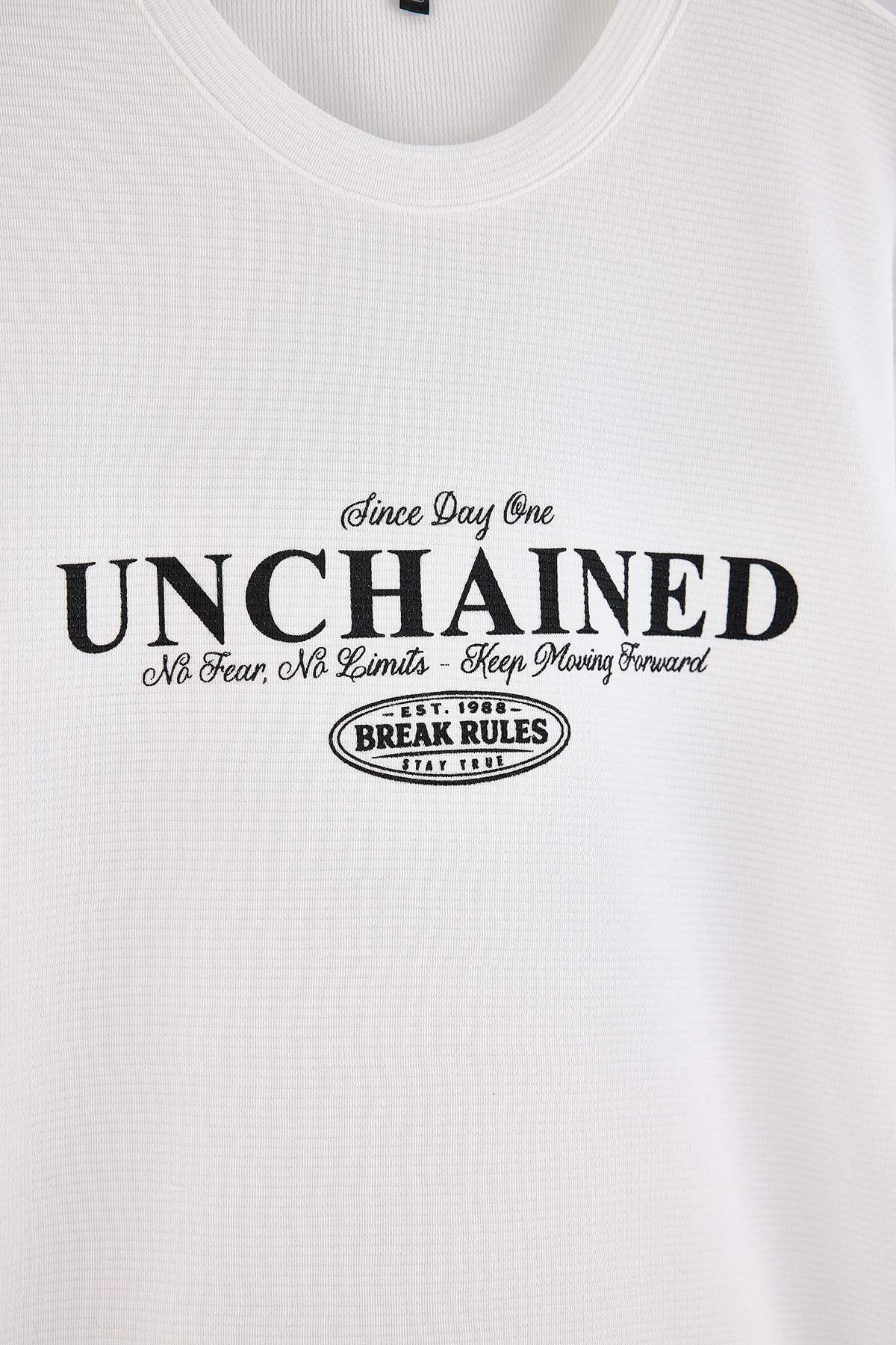 Trendyol Ecru Regular/Normal Cut Printed Textured T-Shirt Tmnss26Ts00068